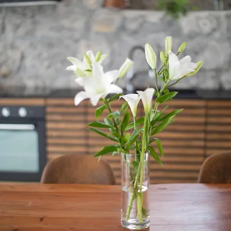 Loft Rooftop Garden By The Artspace Appartement
