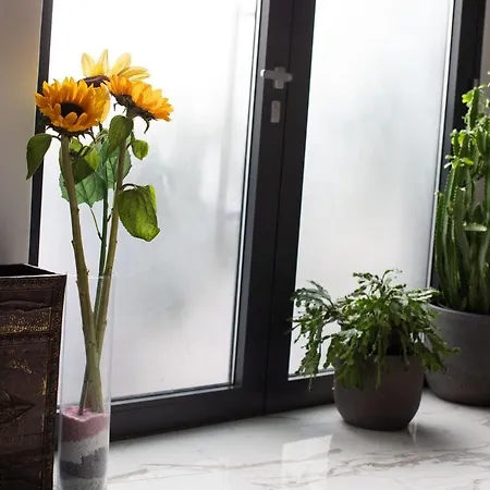 Loft Rooftop Garden By The Artspace *