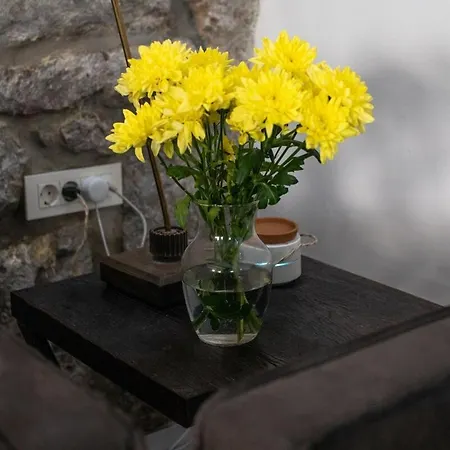 Apartmán Loft Rooftop Garden By The Artspace